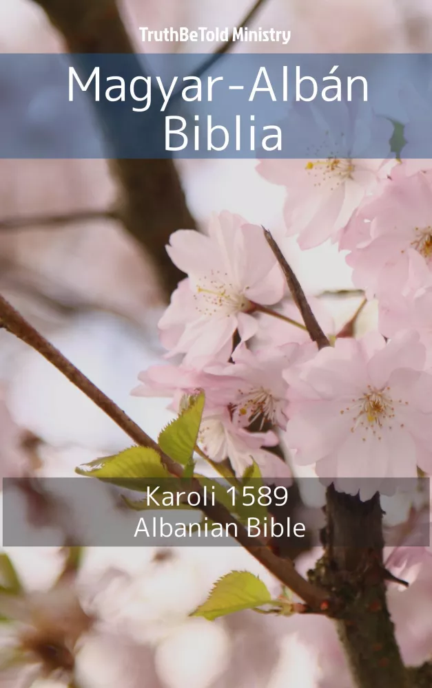 Magyar-Albán Biblia borító
