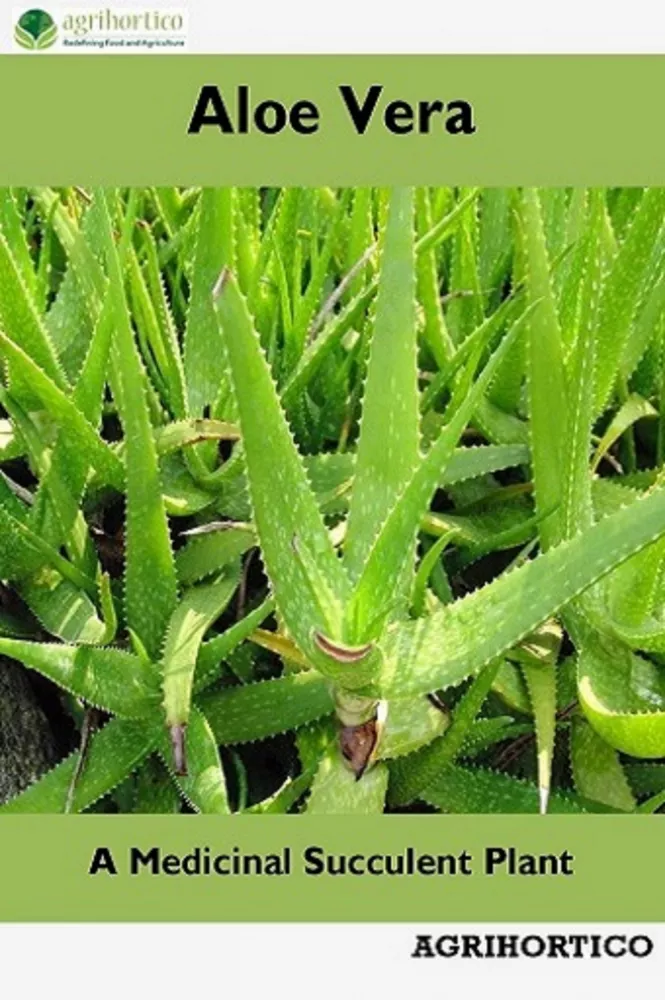 Aloe Vera borító