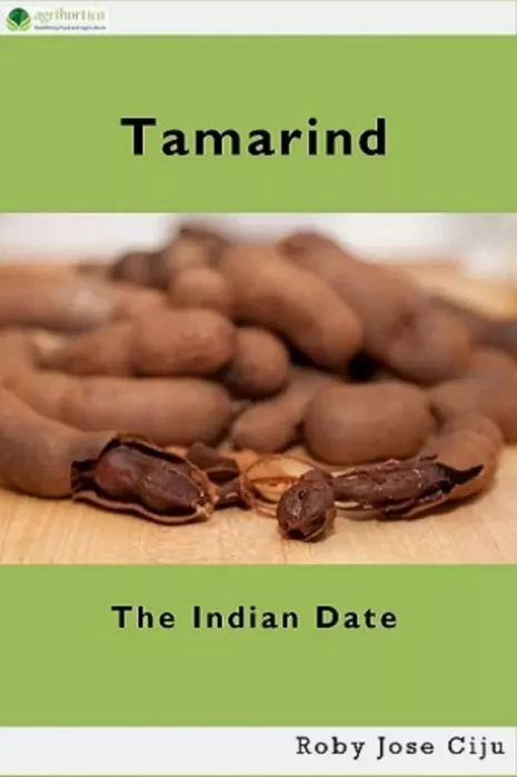 Tamarind borító