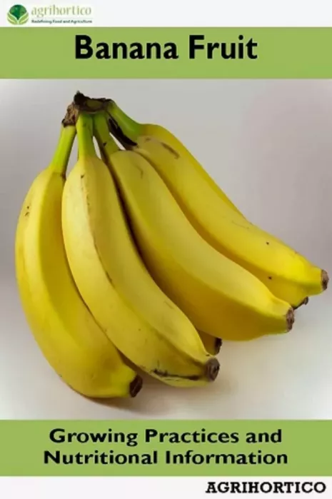 Banana Fruit borító