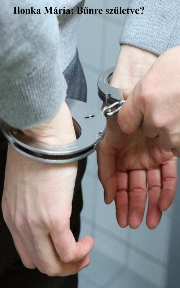 Bűnre születve borító