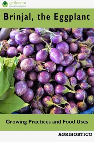 Brinjals, the Eggplant borító