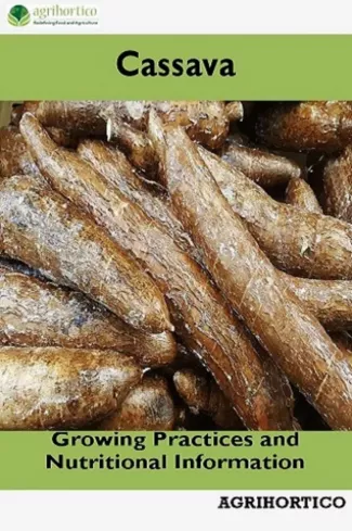 Cassava borító