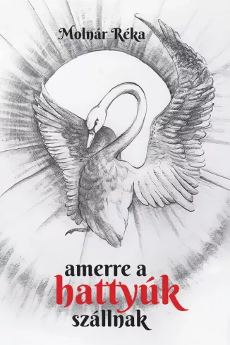 Amerre a hattyúk szállnak borító