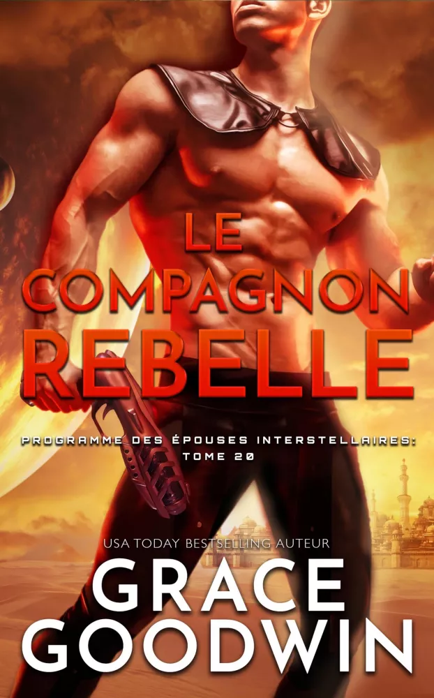 Le Compagnon Rebelle borító