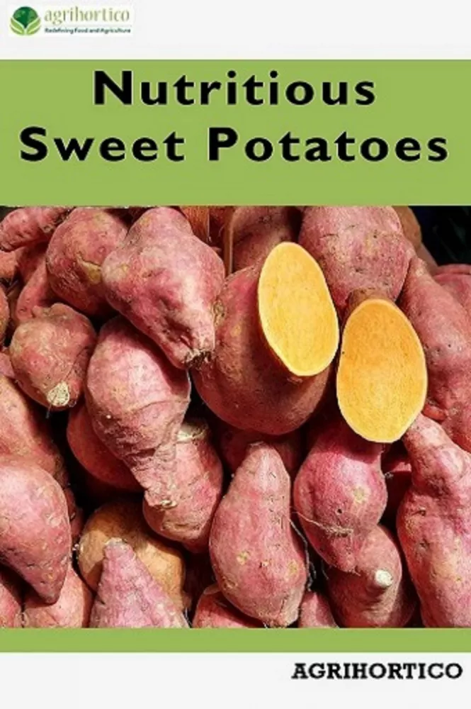 Nutritious Sweet Potatoes borító