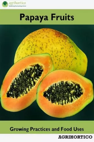 Papaya Fruits borító