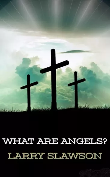 What Are Angels?