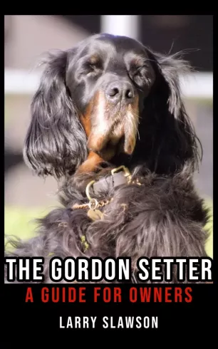 The Gordon Setter borító