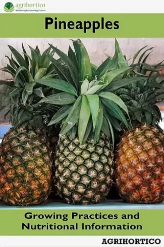 Pineapple borító