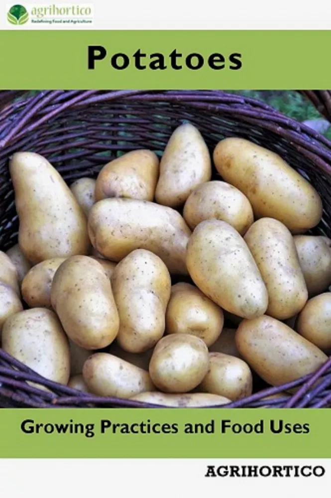 Potatoes borító