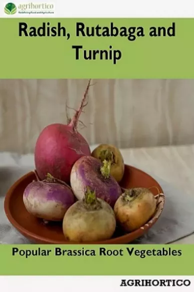 Radish, Rutabaga and Turnip borító