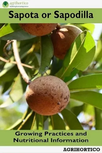 Sapota or Sapodilla borító