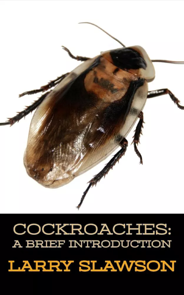Cockroaches borító