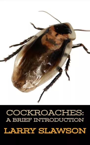 Cockroaches borító