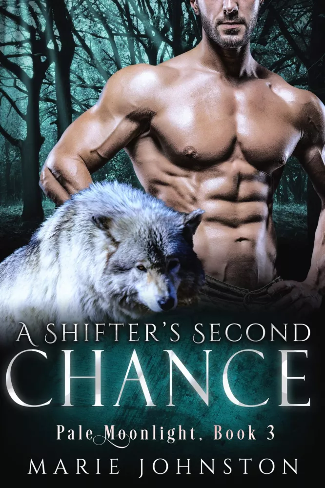 A Shifter's Second Chance borító