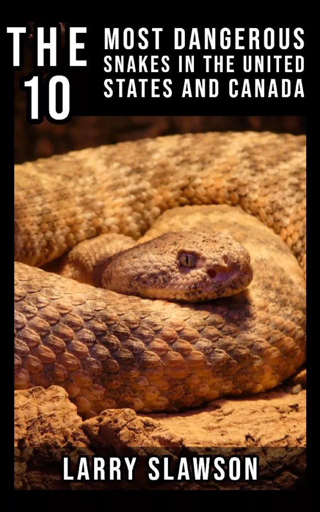 The 10 Most Dangerous Snakes in the United States and Canada borító