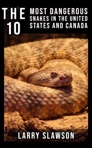 The 10 Most Dangerous Snakes in the United States and Canada