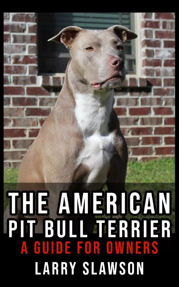 The American Pit Bull Terrier borító