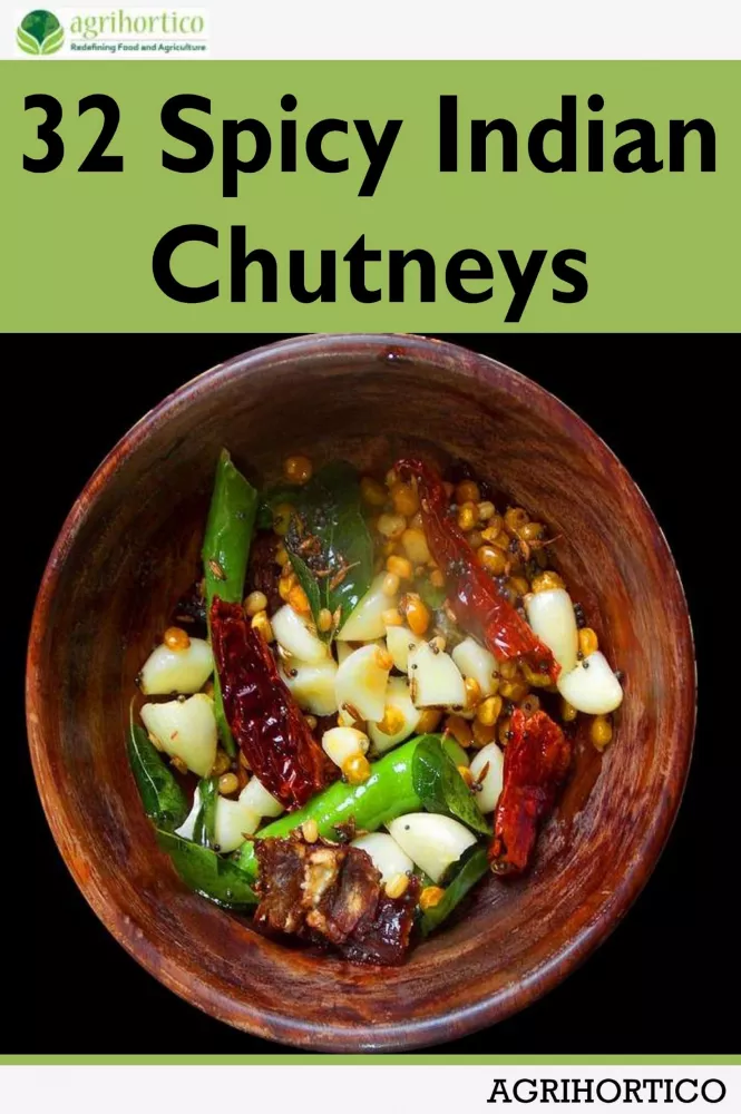 32 Spicy Indian Chutneys borító