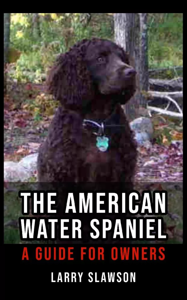 The American Water Spaniel borító