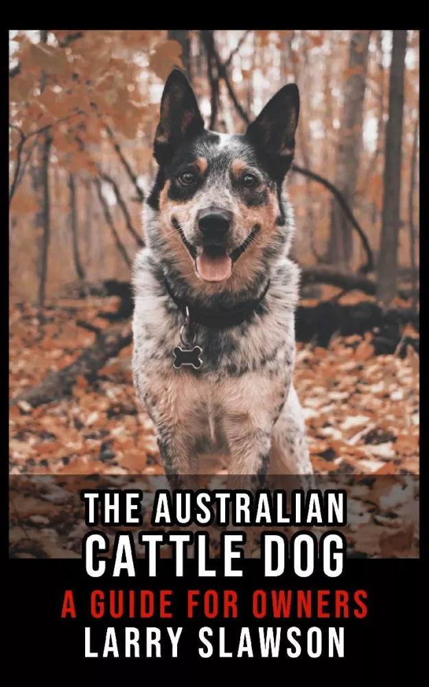 The Australian Cattle Dog borító