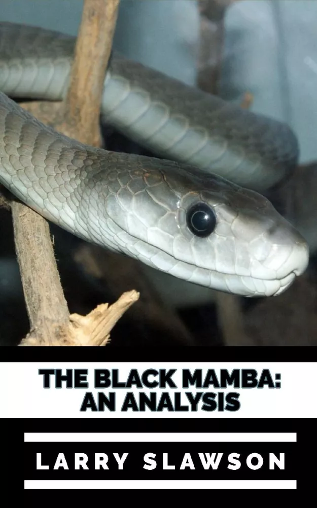 The Black Mamba borító