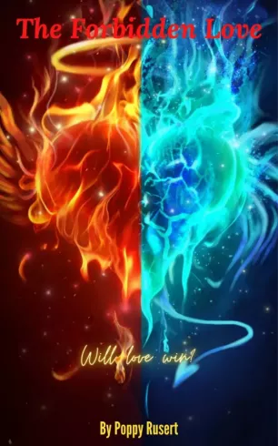 The Forbidden Love