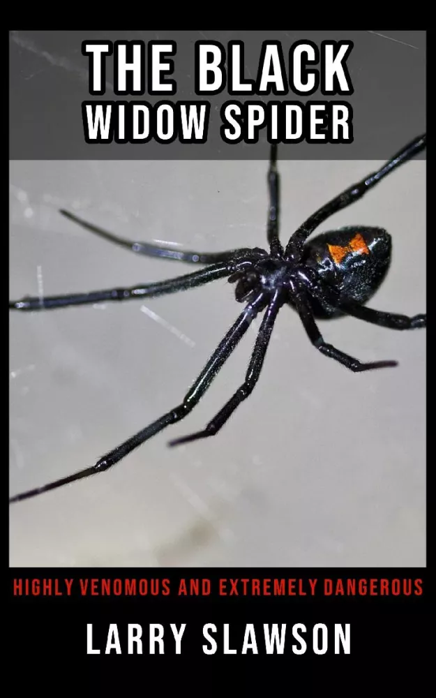 The Black Widow Spider borító