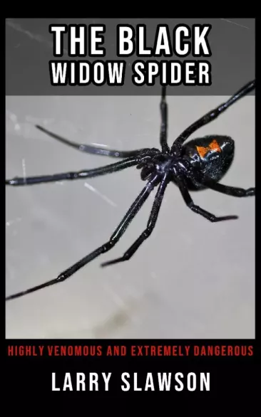 The Black Widow Spider borító