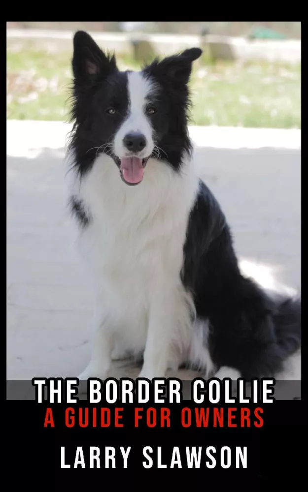 The Border Collie borító