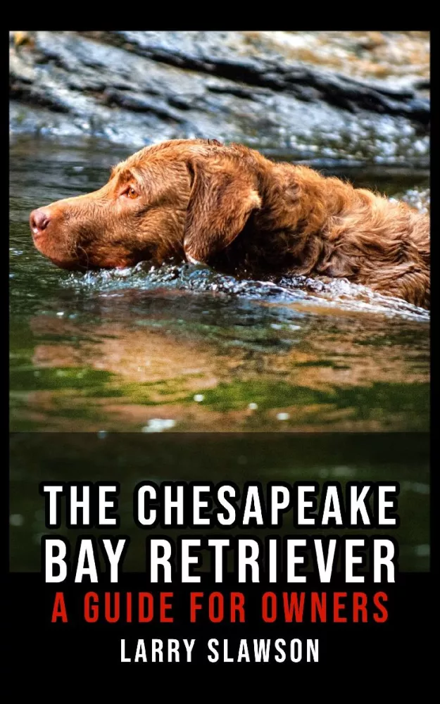 The Chesapeake Bay Retriever borító