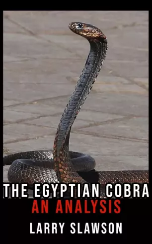 The Egyptian Cobra borító