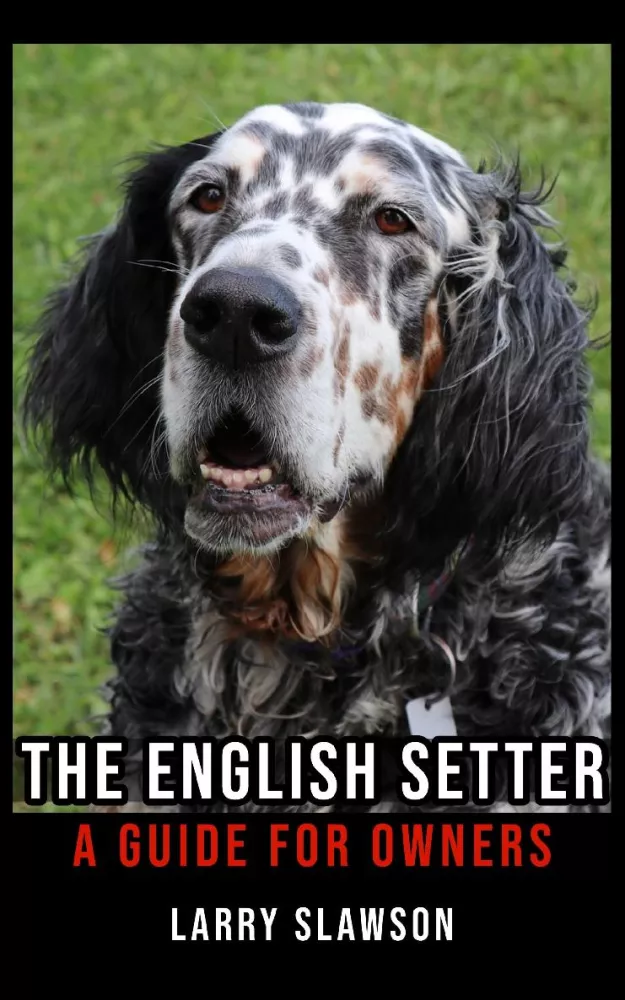 The English Setter borító