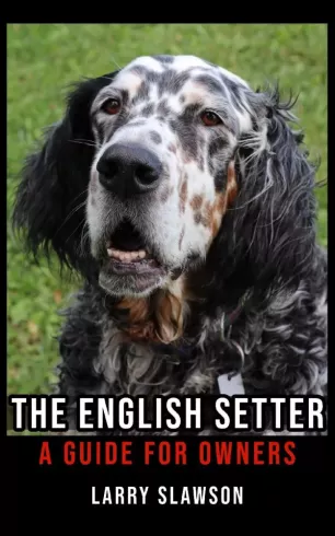 The English Setter borító