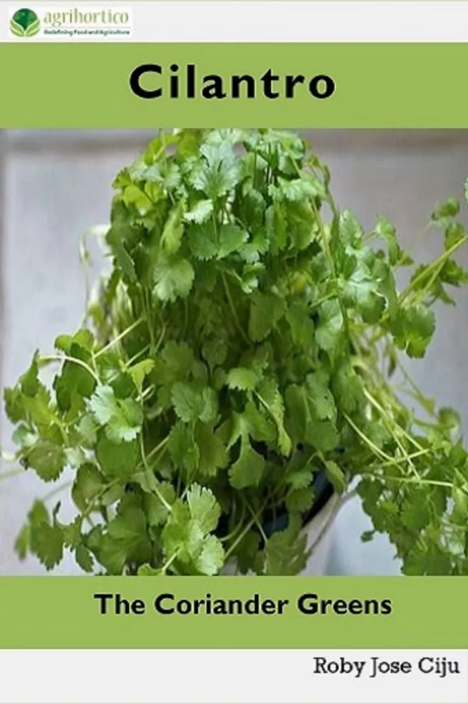 Cilantro, the Coriander Greens borító