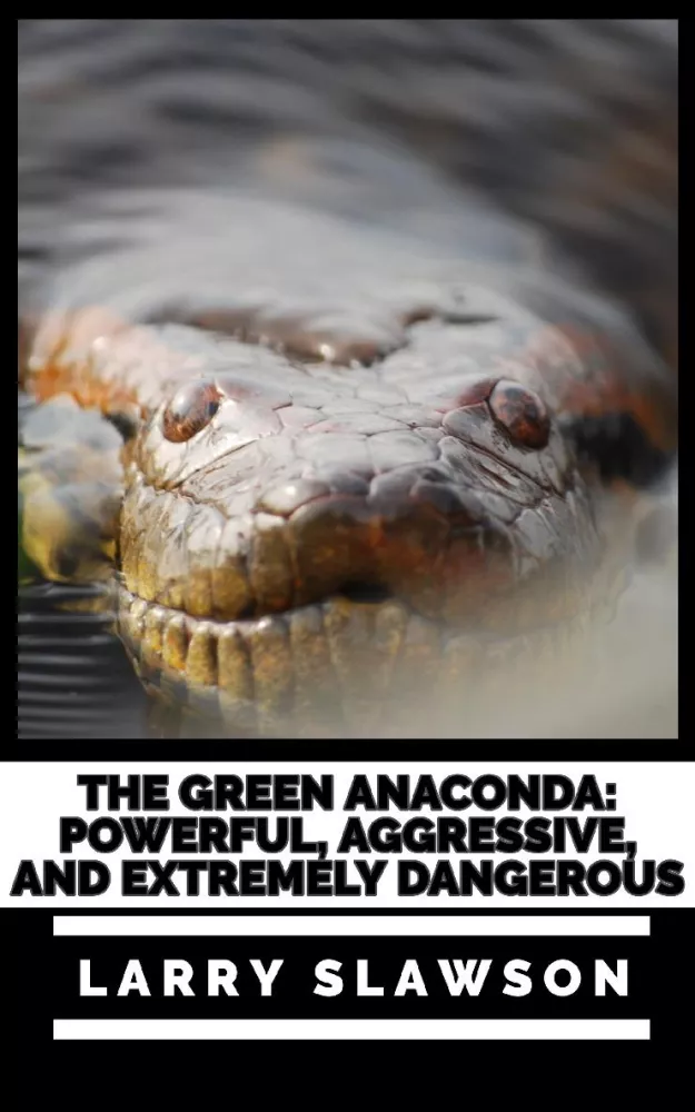 The Green Anaconda borító