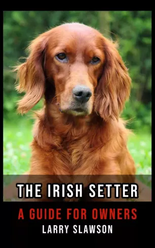 The Irish Setter borító