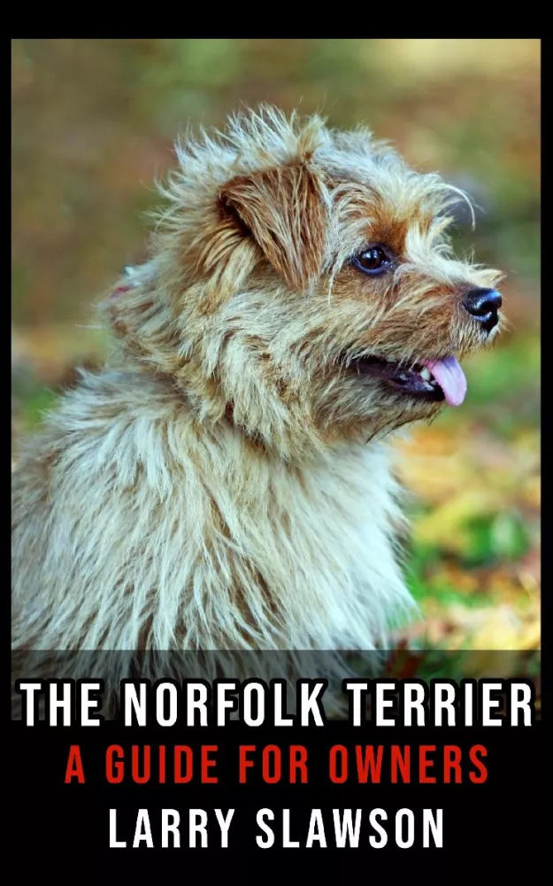 The Norfolk Terrier borító