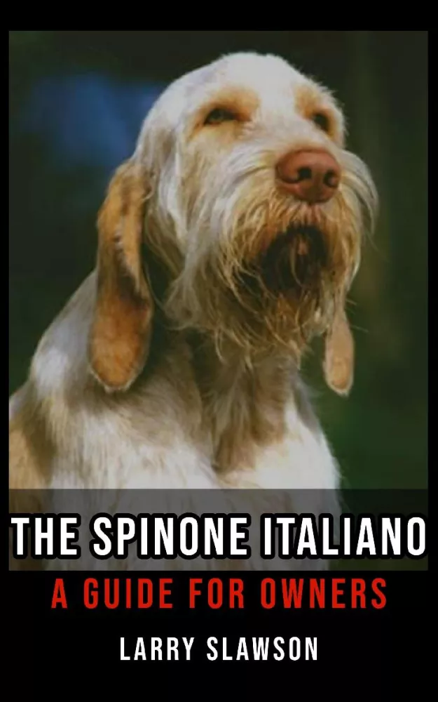 The Spinone Italiano borító