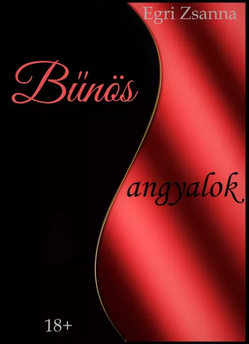 Bűnös angyalok borító