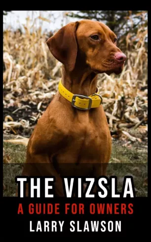 The Vizsla borító
