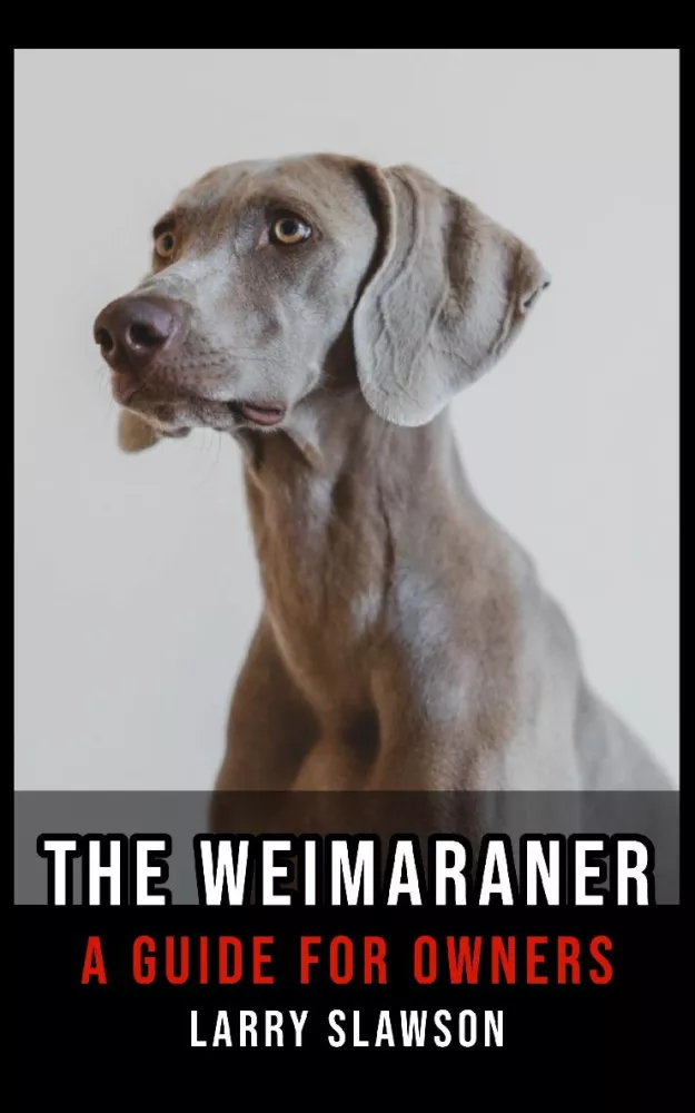 The Weimaraner borító