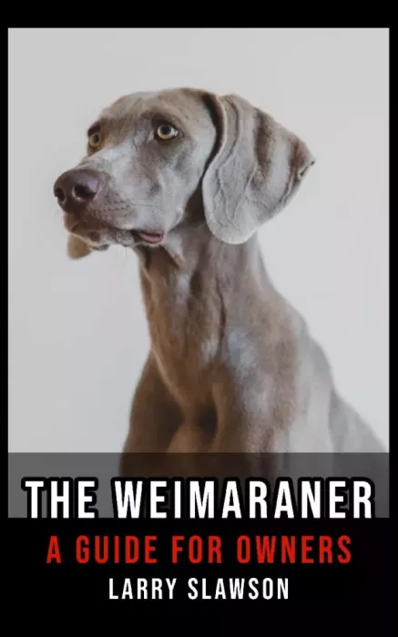 The Weimaraner borító