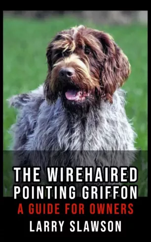 The Wirehaired Pointing Griffon