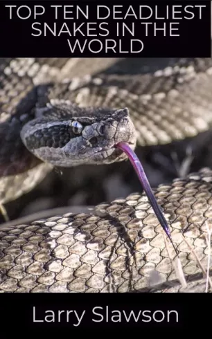 Top Ten Deadliest Snakes in the World