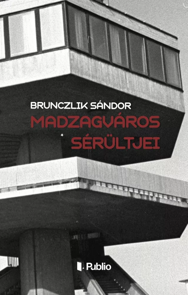 Madzagváros sérültjei borító