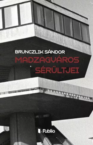 Madzagváros sérültjei borító