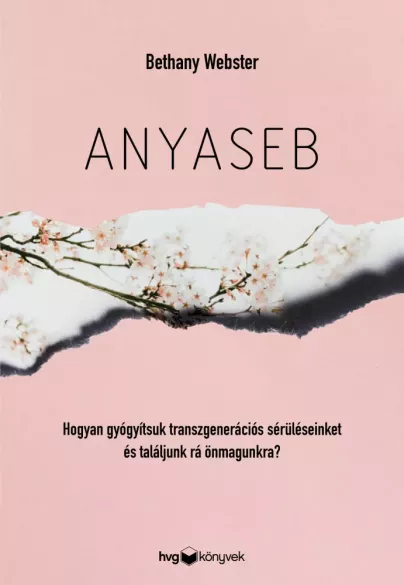 Anyaseb