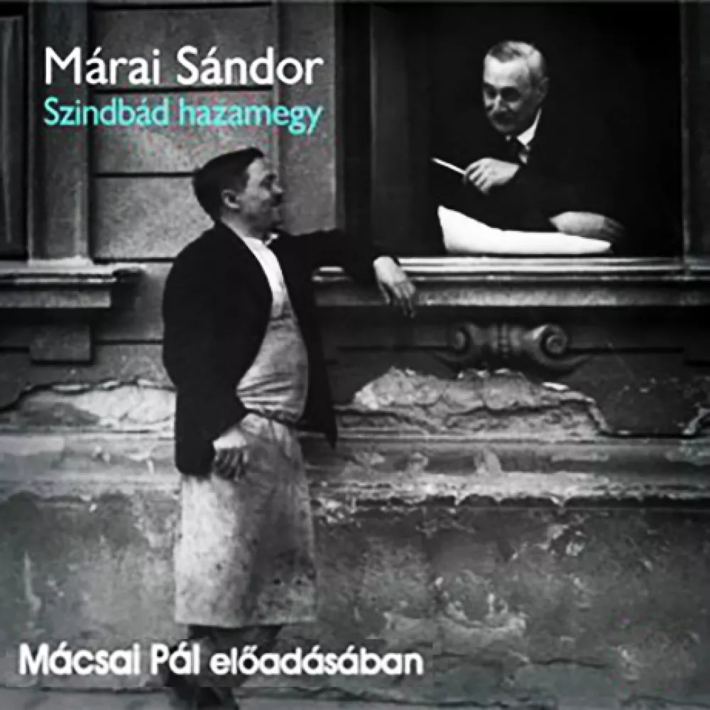 Szindbád hazamegy borító